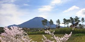 大山ヒルズ