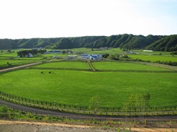 クラウン日高牧場