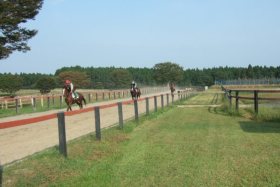 有限会社 下河辺トレーニングセンター