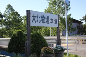 有限会社 大北牧場
