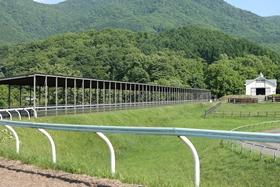 岡田スタッドグループ