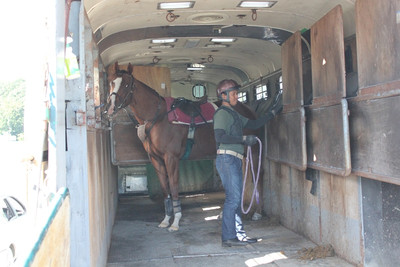 意外と知らない馬運車の中 ビクトリーホースランチです Bokujobブログ