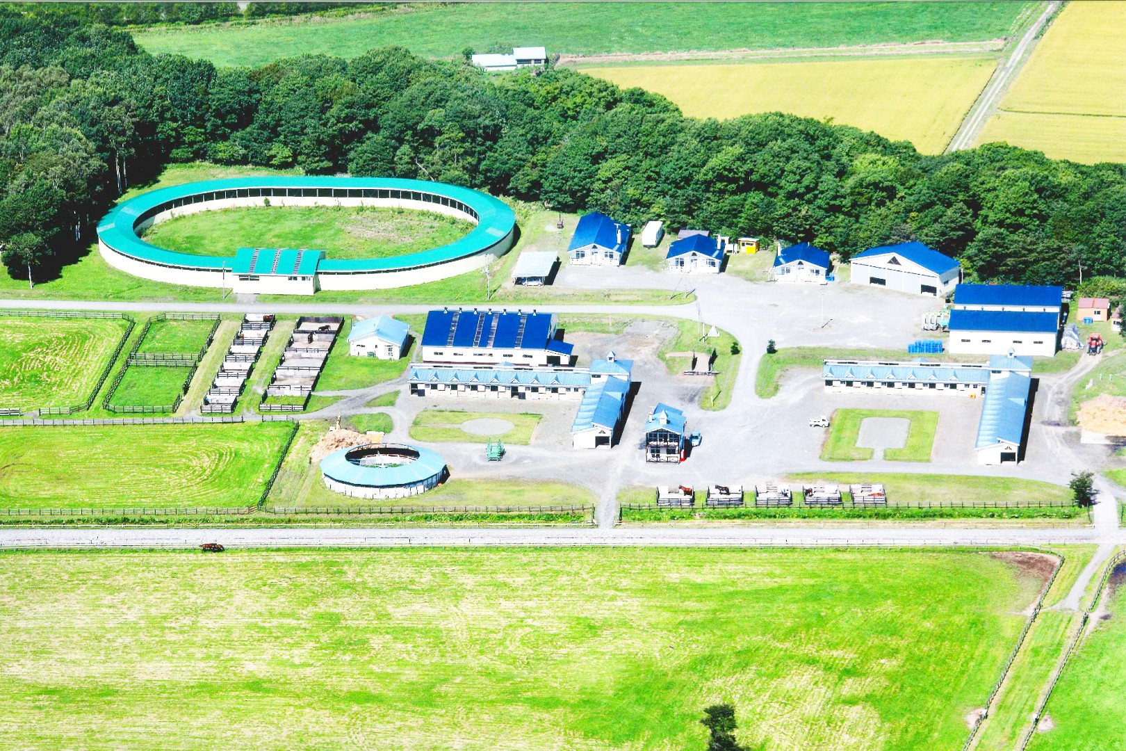 株式会社コアレススタッド - 求人牧場一覧｜BOKUJOB - 競走馬 生産・育成牧場就業応援サイト -