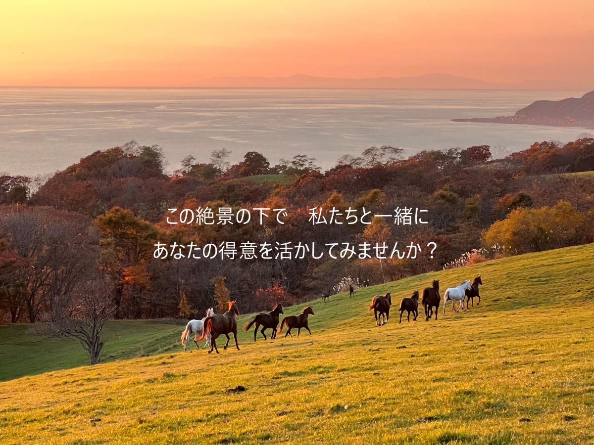 有限会社野坂牧場 - 求人牧場一覧｜BOKUJOB - 競走馬 生産・育成牧場就業応援サイト -