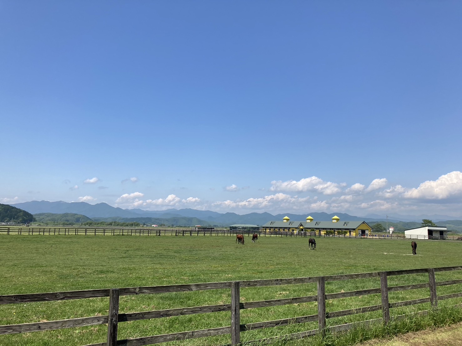 合資会社 明治牧場 - 求人牧場一覧｜BOKUJOB - 競走馬 生産・育成牧場就業応援サイト -