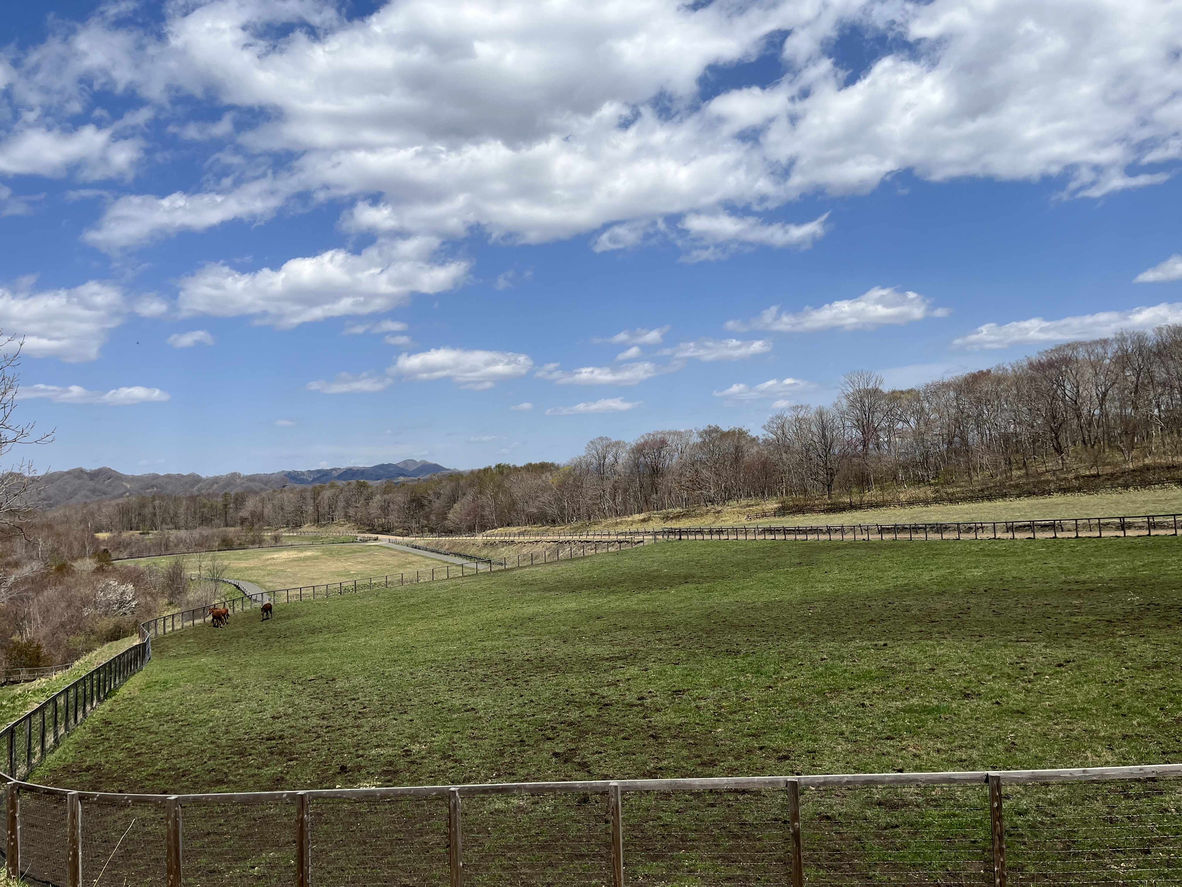 ハントバレートレーニングファーム - 求人牧場一覧｜BOKUJOB - 競走馬 生産・育成牧場就業応援サイト -