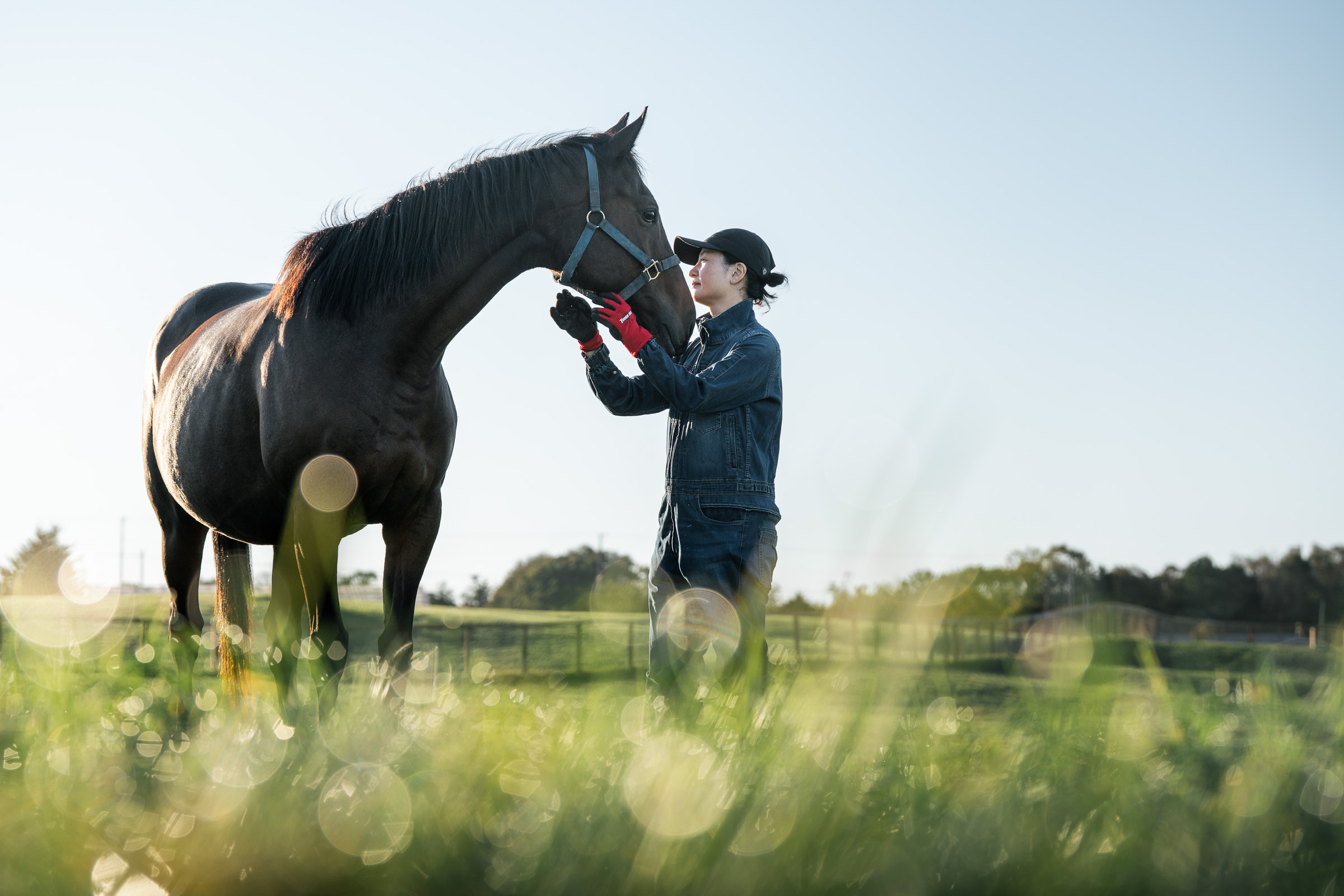 トド岩高原銀河農場物語株式会社 - 求人牧場一覧｜BOKUJOB - 競走馬 生産・育成牧場就業応援サイト -