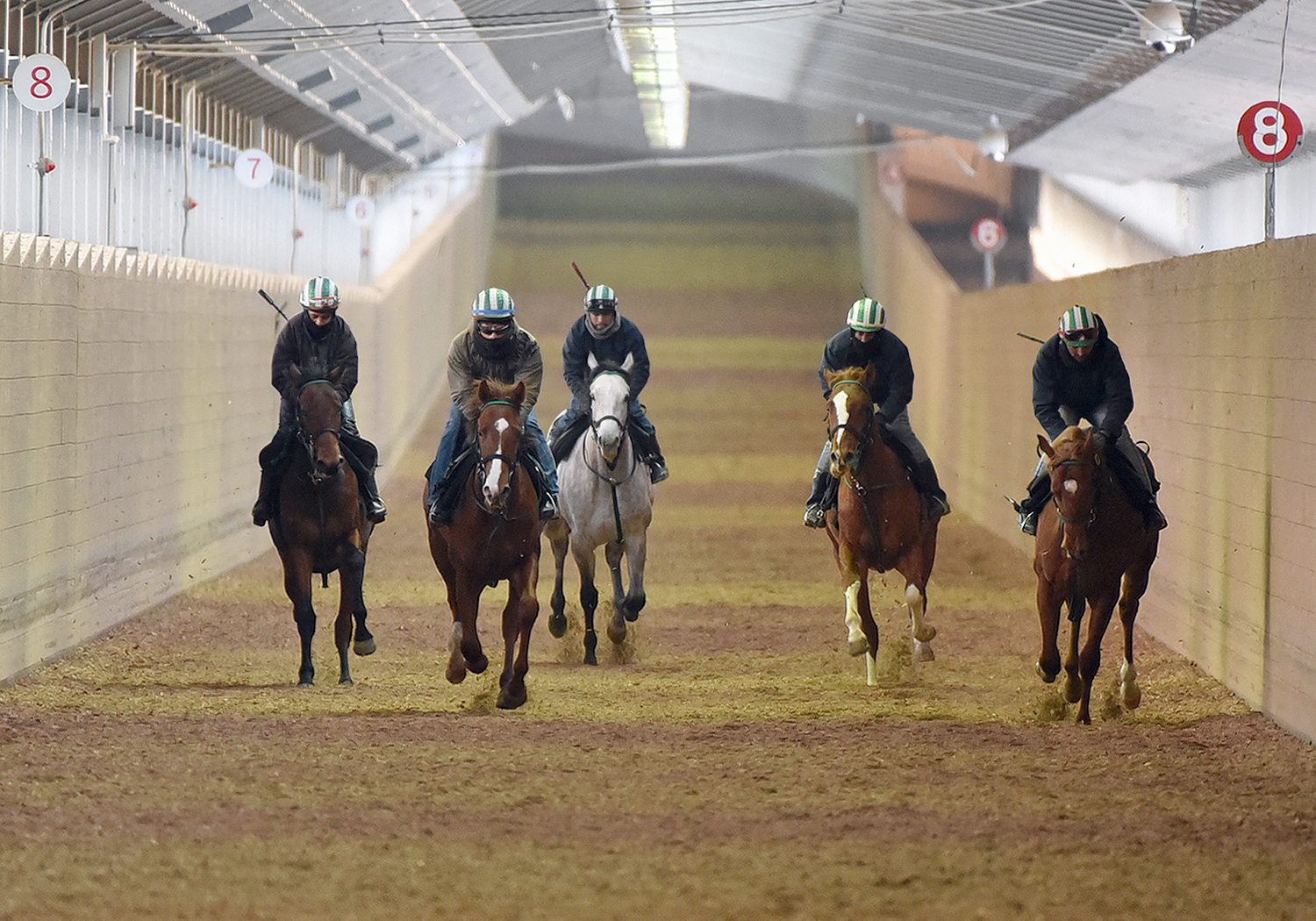 有限会社 山口ステーブル - 求人牧場一覧｜BOKUJOB - 競走馬 生産・育成牧場就業応援サイト -