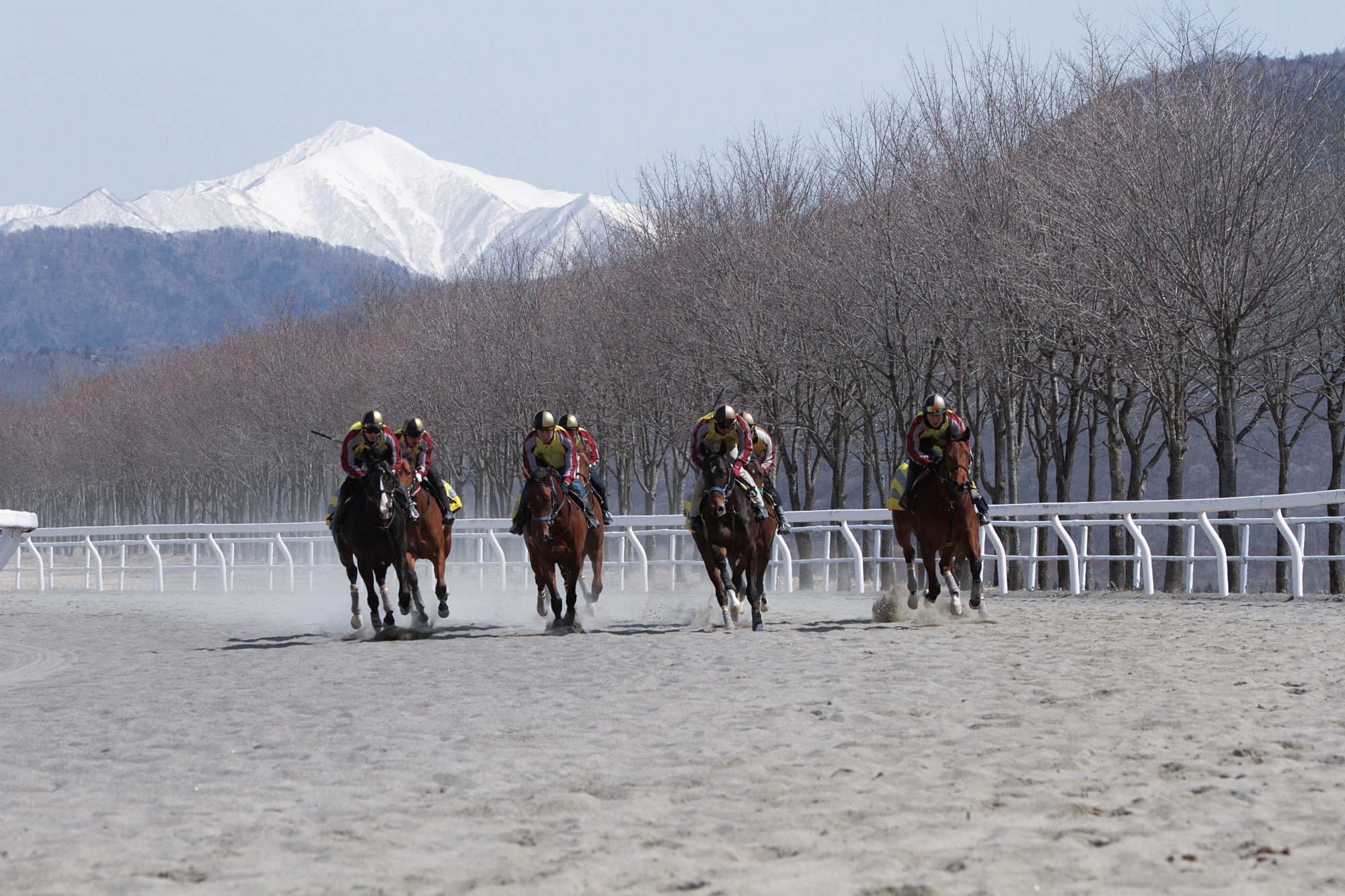 有限会社 グランデファーム - 求人牧場一覧｜BOKUJOB - 競走馬 生産・育成牧場就業応援サイト -
