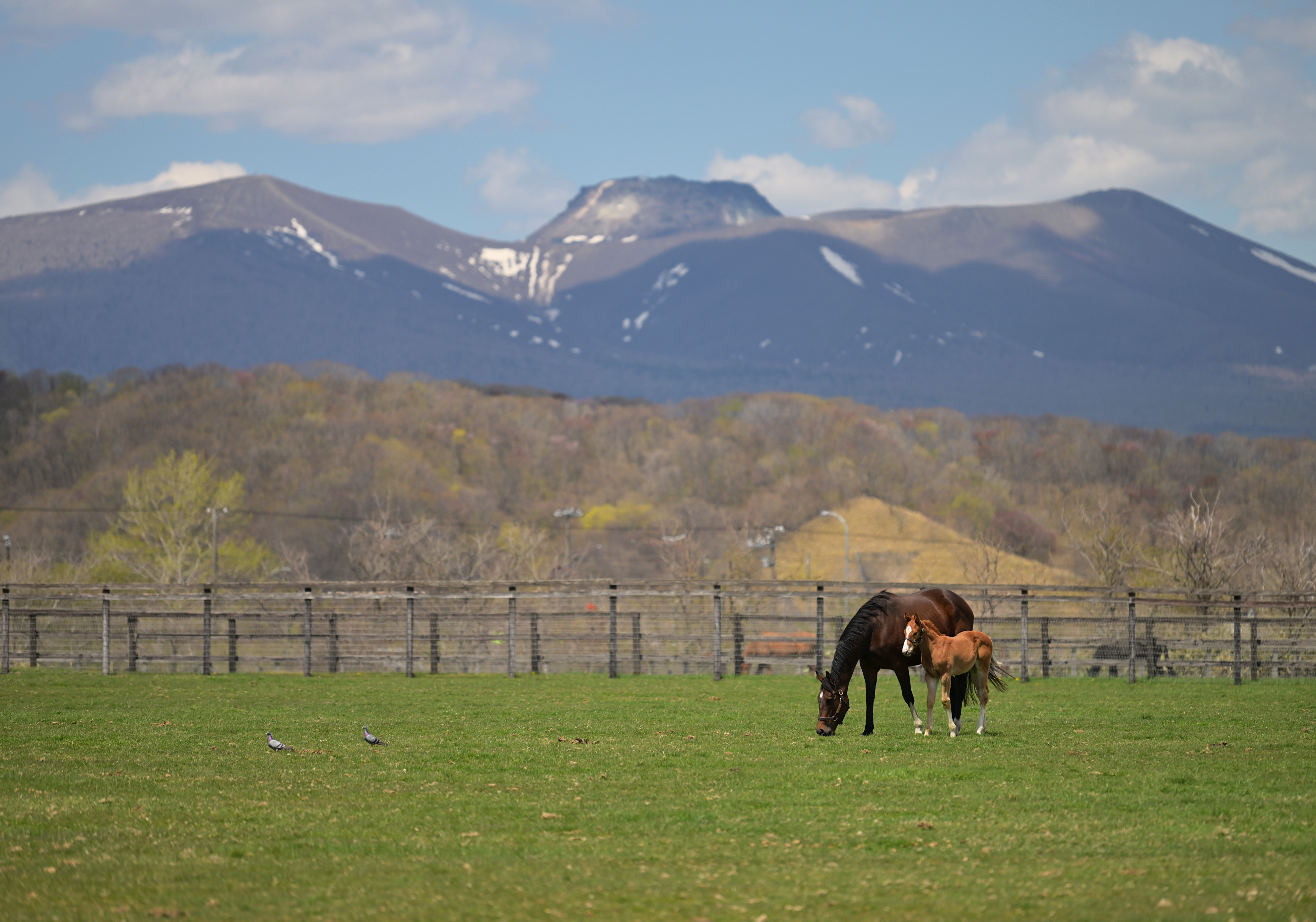Btc jbba 等 研修 課程 修了 生 (99) 사진