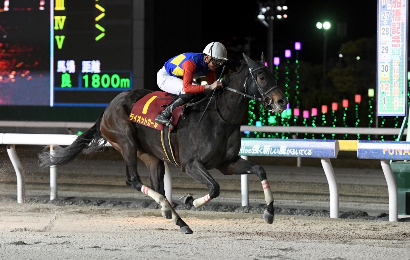 有限会社ヒダカファーム - 求人牧場一覧｜BOKUJOB - 競走馬 生産・育成牧場就業応援サイト -