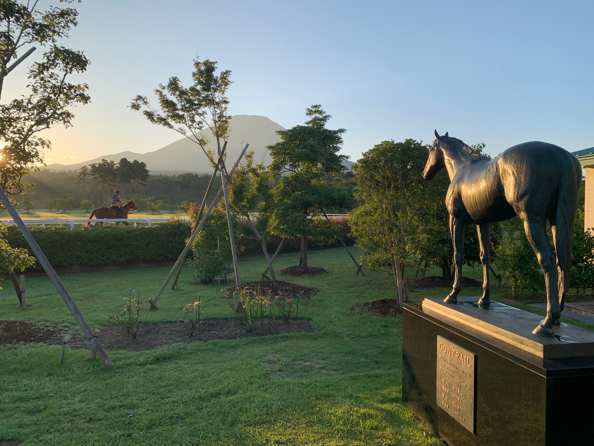 大山ヒルズ - 求人牧場一覧｜BOKUJOB - 競走馬 生産・育成牧場就業応援サイト -