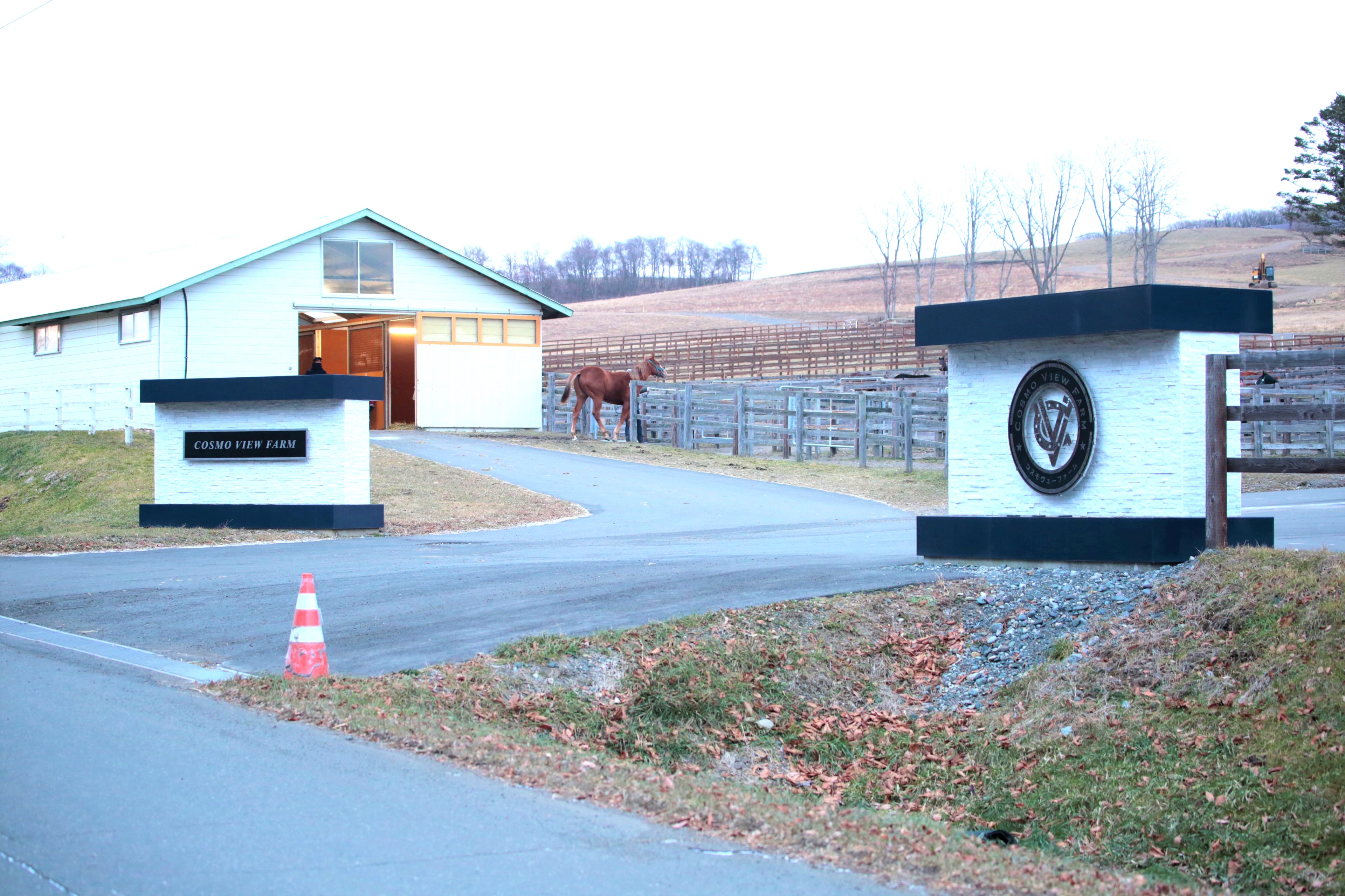 コスモヴューファーム - 求人牧場一覧｜BOKUJOB - 競走馬 生産・育成牧場就業応援サイト -