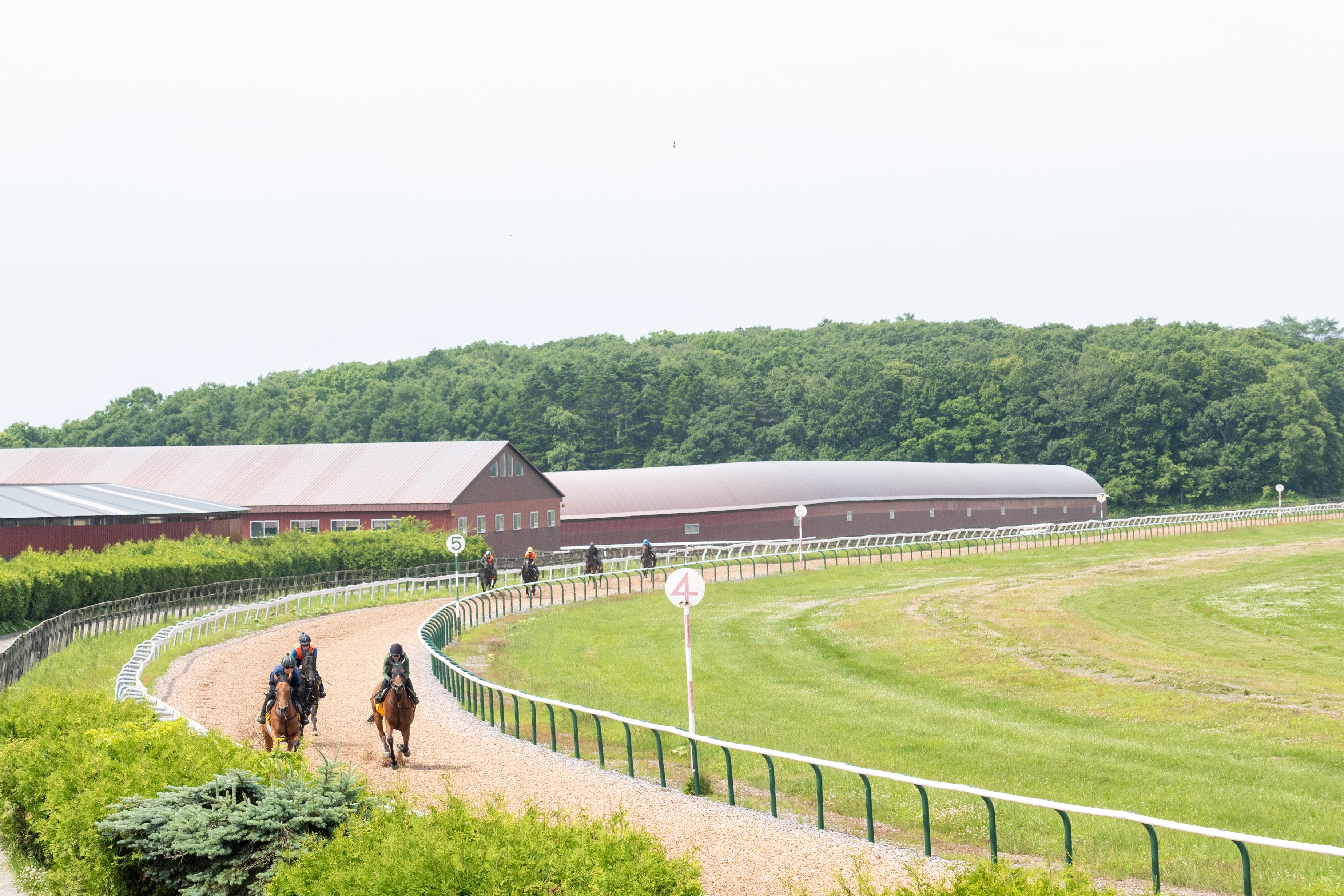 木村牧場 有限会社 - 求人牧場一覧｜BOKUJOB - 競走馬 生産・育成牧場就業応援サイト -